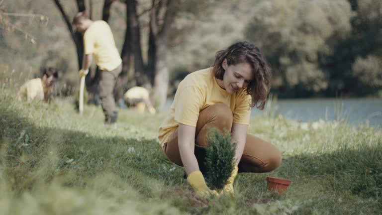 Best Lawn Watering Services  in Binghamton University, NY